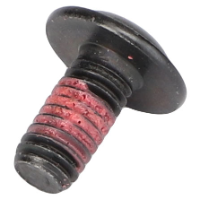 AGCO TORX HEAD SCREW ACX2188670 Parts - True Ag & Turf