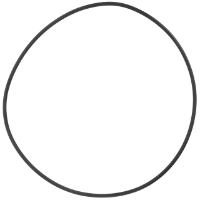 AGCO O-RING V614615030 Parts - True Ag & Turf