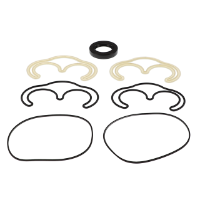 AGCO SEAL KIT 572900D1 Parts - True Ag & Turf