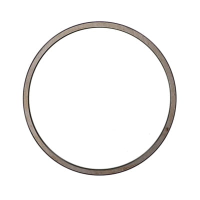 AGCO THRUST WASHER 4312798M1 Parts - True Ag & Turf