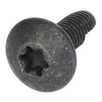 AGCO TORX HEAD SCREW CH9X-2044 Parts - True Ag & Turf