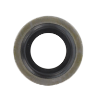 AGCO Oil Seal 3010900X1 Parts - True Ag & Turf