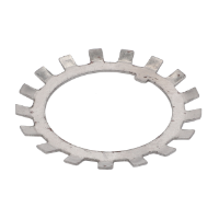 AGCO Tooth Washer 1442534X1 Parts - True Ag & Turf