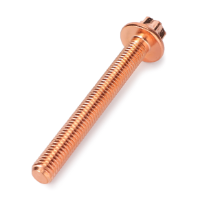 AGCO TORX SCREW 72428818 Parts - True Ag & Turf