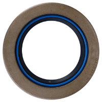 AGCO Seal, Differential 3428314M1 Parts - True Ag & Turf