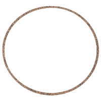 AGCO GASKET 516389M2 Parts - True Ag & Turf