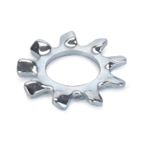 AGCO TOOTH WASHER 22427X Parts - True Ag & Turf