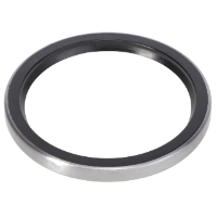 AGCO SEAL 1606589M1 Parts - True Ag & Turf