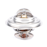 AGCO Thermostat, without Housing ACW2170430 Parts - True Ag & Turf