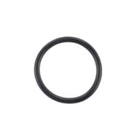 AGCO O-RING ACW0905740 Parts - True Ag & Turf