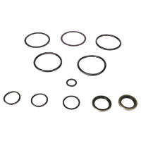 AGCO SEAL KIT 79002930 Parts - True Ag & Turf