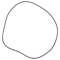 AGCO O-RING 370616X1 Parts - True Ag & Turf