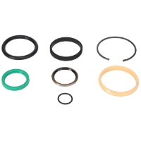 AGCO Seal Kit 110013 Parts - True Ag & Turf