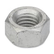 AGCO Hex Nut 400570X1 - True Ag & Turf