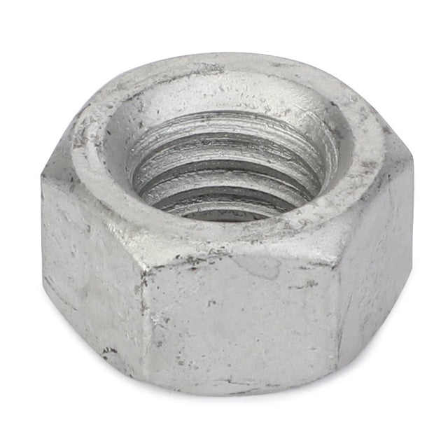 AGCO Hex Nut 400570X1 - True Ag & Turf