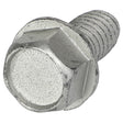 AGCO Thread-Cutting Tapping Screw 70923683 - True Ag & Turf