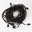 Precision Planting Harness, 36 Row 20, B Half 725341 Parts - True Ag & Turf