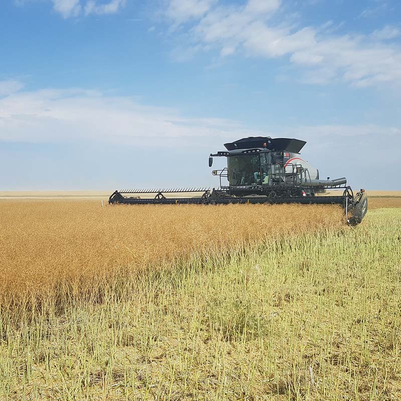 Gleaner S98 Combine Tractor - True Ag & Turf