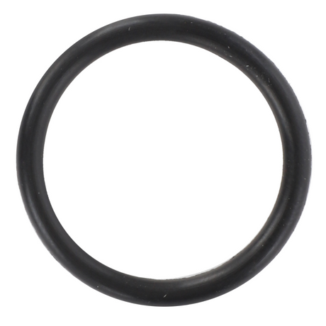 AGCO O-RING 70923566 Parts - True Ag & Turf