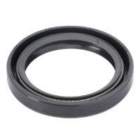 AGCO Oil Seal, Hydraulic Lift 3702493M1 Parts - True Ag & Turf