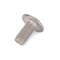 AGCO SCREW 72487925 Parts - True Ag & Turf