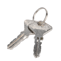 AGCO Key, Door Lock 3310759M1 Parts - True Ag & Turf