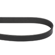 AGCO BELT A3289034V Parts - True Ag & Turf