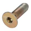 AGCO SCREW 79034488 Parts - True Ag & Turf