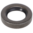 AGCO Oil Seal 608906A Parts - True Ag & Turf