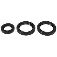 AGCO SEAL KIT 4263516M91 Parts - True Ag & Turf