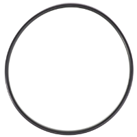 AGCO O-RING AG335056 Parts - True Ag & Turf