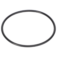 AGCO O-RING 70929242 Parts - True Ag & Turf