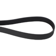 AGCO Belt 554934D1 Parts - True Ag & Turf
