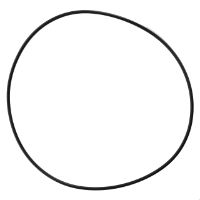AGCO O-RING 72655116 Parts - True Ag & Turf