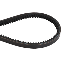 AGCO BELT 059169R1 Parts - True Ag & Turf