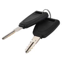 AGCO DOOR KEYS SET 4297511M91 Parts - True Ag & Turf
