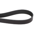 AGCO Engine Drive Belt, Ribbed, 1663.7 mm 700708547 Parts - True Ag & Turf