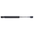 AGCO Gas Strut, Door, Lift-O-Mat 72317456 Parts - True Ag & Turf