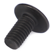 AGCO SCREW 72475207 Parts - True Ag & Turf