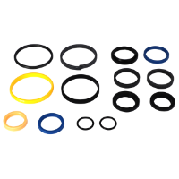 AGCO SEAL KIT WR36616 Parts - True Ag & Turf