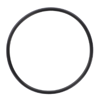 AGCO O-RING V614604720 Parts - True Ag & Turf