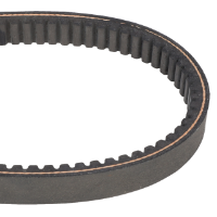 AGCO Belt 71146659V Parts - True Ag & Turf
