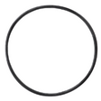 AGCO O-RING WR131845 Parts - True Ag & Turf
