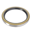 AGCO RADIAL SEALING RING 3040805M1 Parts - True Ag & Turf
