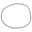 AGCO O-RING CH8C-5237 Parts - True Ag & Turf