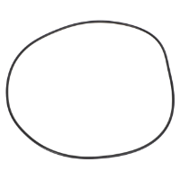 AGCO O-RING CH8C-5237 Parts - True Ag & Turf
