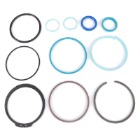 AGCO Seal Kit, Hydraulic Lift Cylinder 72426152 Parts - True Ag & Turf