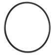AGCO O-RING 1751687M1 Parts - True Ag & Turf