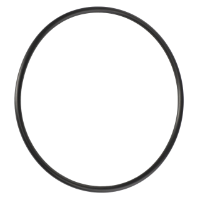 AGCO O-RING 1751687M1 Parts - True Ag & Turf