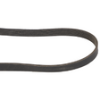 AGCO Belt 7064035M1 Parts - True Ag & Turf